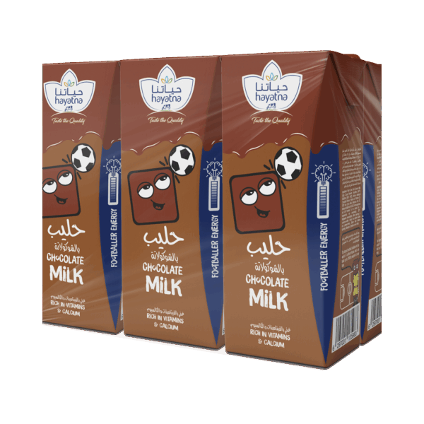 Chocolate Flavoured Milk - 180ml x 6